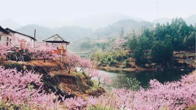 中國的桃花源和西方的烏托邦，是全人類的精神遺產(chǎn)